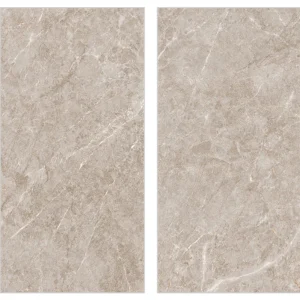 CROMATIC LIGHT GREY-G62010 -600 X 1200 MM